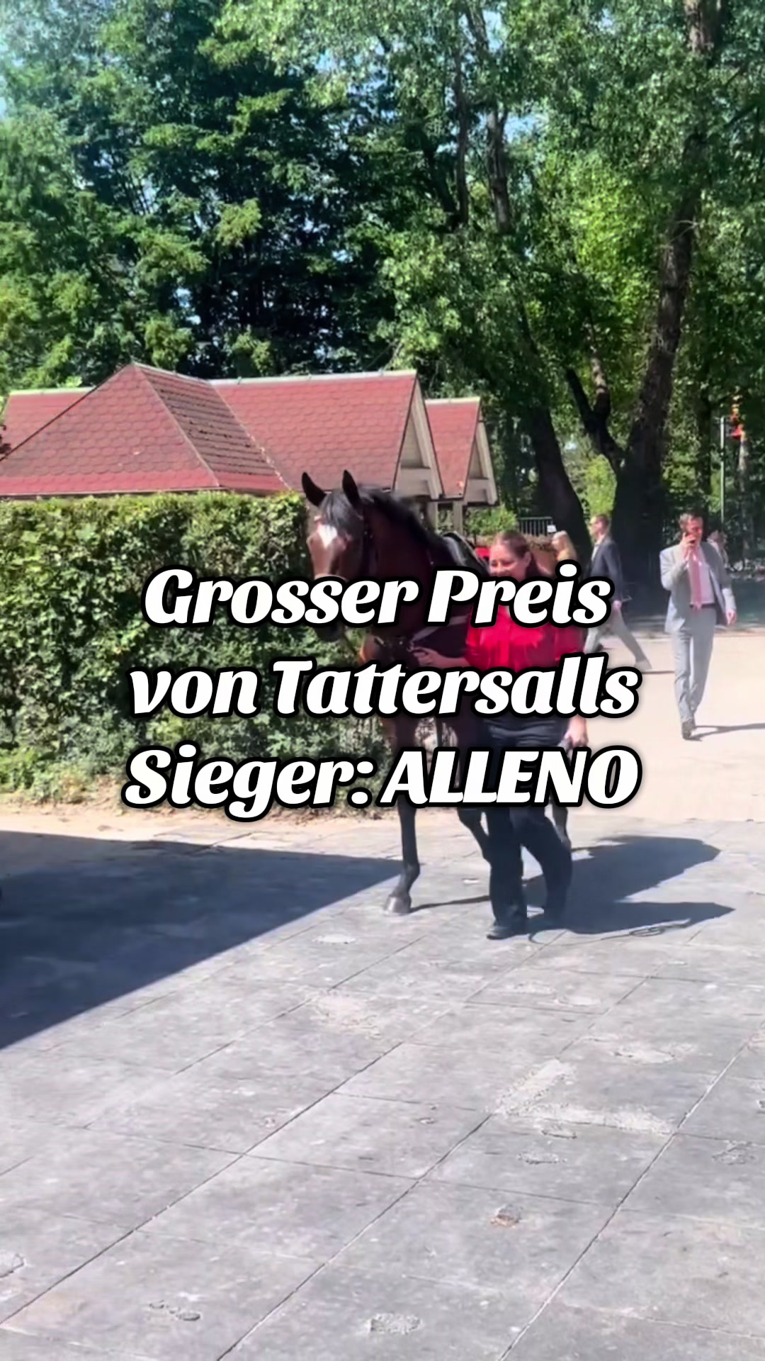 Das Dreamteam des deutschen Rennsports schlägt immer weiter zu 🤯 Und wieder ist ALLENO der Star, der den nächsten Big Point für Jockey Sibylle Vogt, T...
